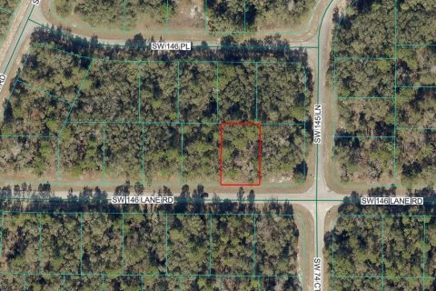 Land in Ocala, Florida № 2162947 - photo 2