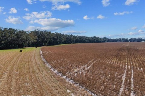 Terrain à vendre à Trenton, Floride № 2122856 - photo 6