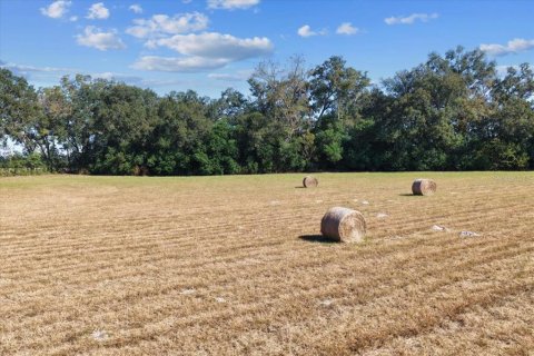 Terrain à Trenton, Floride № 2122856