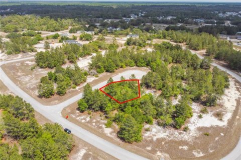Land in Kissimmee, Florida № 2165133