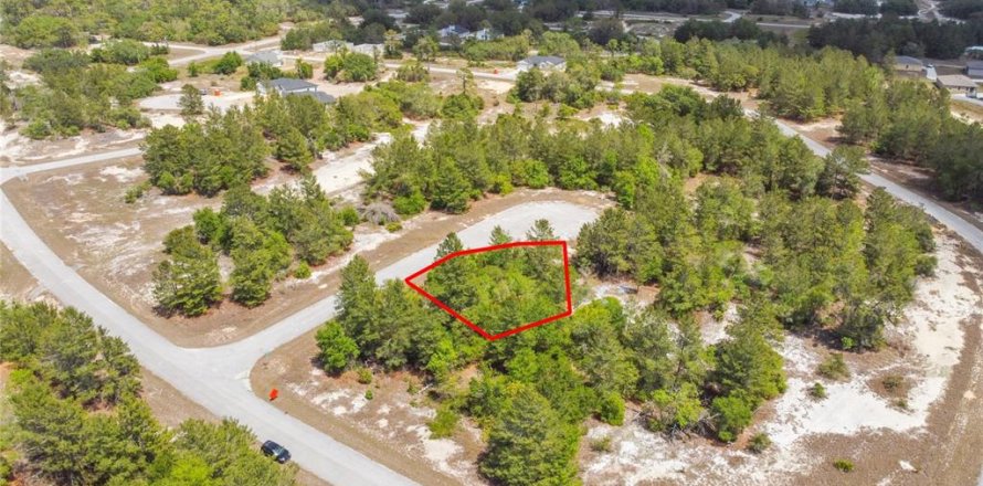 Land in Kissimmee, Florida № 2165133