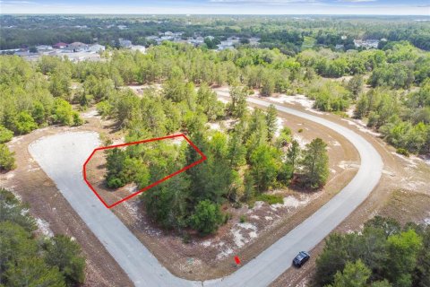 Land in Kissimmee, Florida № 2165133 - photo 3