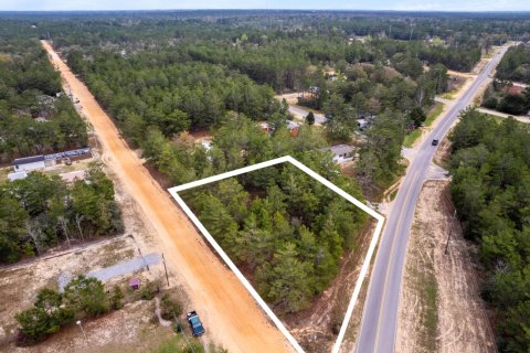 Land in De Funiak Springs, Florida № 559892 - photo 1