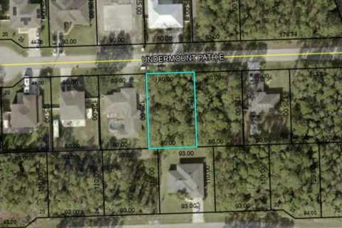 Land in Palm Coast, Florida № 1750557 - photo 14