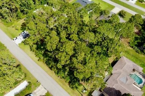 Land in Palm Coast, Florida № 1750557 - photo 8