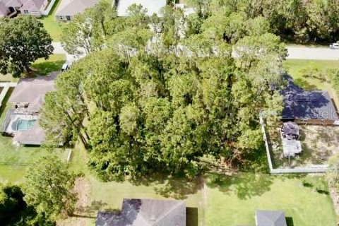 Land in Palm Coast, Florida № 1750557 - photo 10