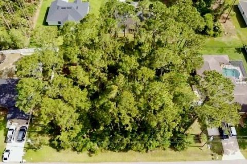 Land in Palm Coast, Florida № 1750557 - photo 7