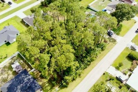 Land in Palm Coast, Florida № 1750557 - photo 9