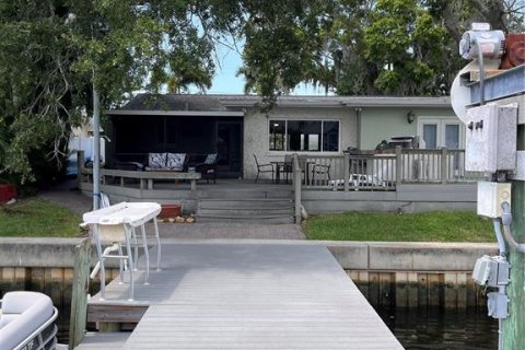 Villa ou maison à louer à Palm Harbor, Floride: 2 chambres, 130.62 m2 № 2167858 - photo 5