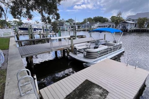 Villa ou maison à louer à Palm Harbor, Floride: 2 chambres, 130.62 m2 № 2167858 - photo 6