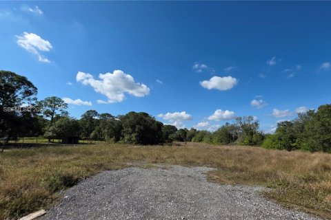 Immobilier commercial à vendre à Clewiston, Floride № 1987155 - photo 10