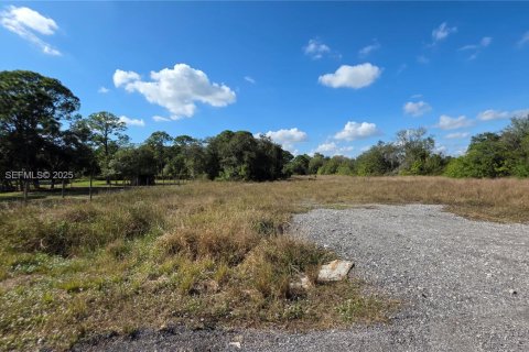 Immobilier commercial à vendre à Clewiston, Floride № 1987155 - photo 7