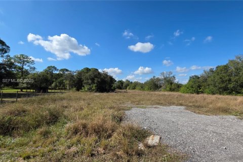 Immobilier commercial à vendre à Clewiston, Floride № 1987155 - photo 8