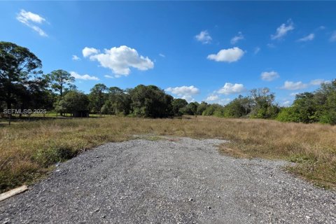 Immobilier commercial à vendre à Clewiston, Floride № 1987155 - photo 3