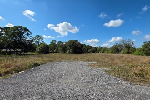 Immobilier commercial à vendre à Clewiston, Floride № 1987155 - photo 6