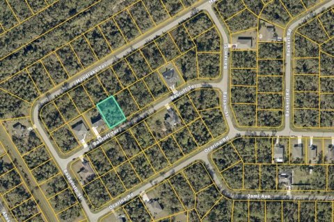 Land in North Port, Florida № 2159531 - photo 2