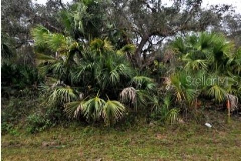 Land in North Port, Florida № 2159531