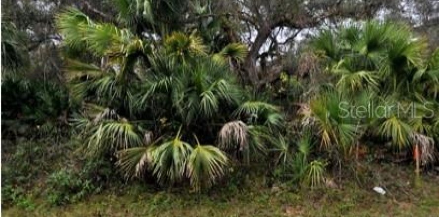 Land in North Port, Florida № 2159531
