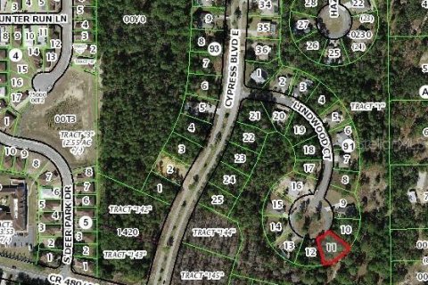 Land in Homosassa, Florida № 2160652 - photo 5
