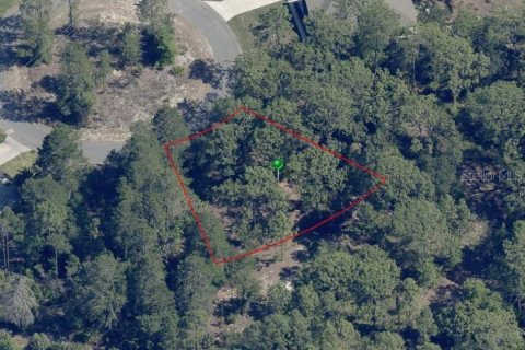 Land in Homosassa, Florida № 2160652 - photo 2