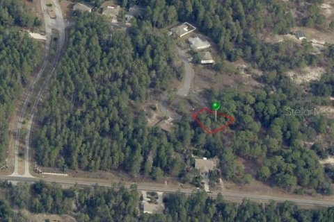 Land in Homosassa, Florida № 2160652 - photo 4