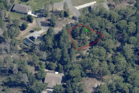 Land in Homosassa, Florida № 2160652 - photo 3