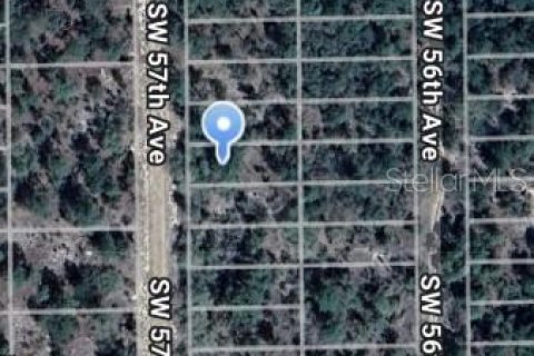 Land in Interlachen, Florida № 2164149 - photo 2