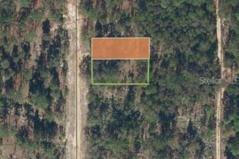 Land in Interlachen, Florida № 2164149