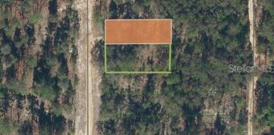 Land in Interlachen, Florida № 2164149