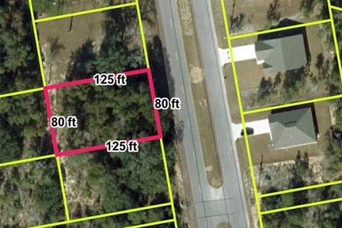 Land in Chipley, Florida № 2230376 - photo 2