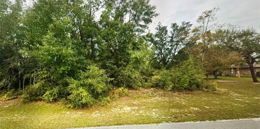 Land in Chipley, Florida № 2230376