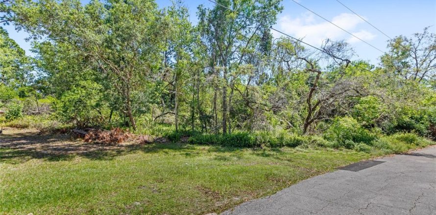 Terrain à Deltona, Floride № 1629843