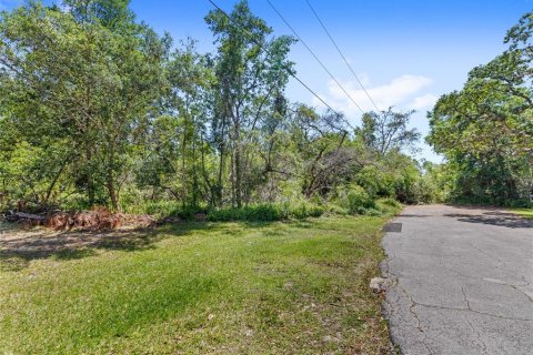 Terrain à vendre à Deltona, Floride № 1629843 - photo 2
