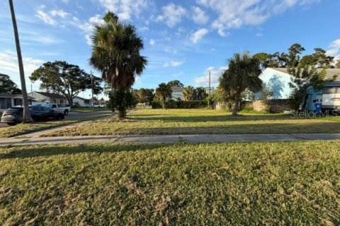 Terrain à Saint Petersburg, Floride № 2387630