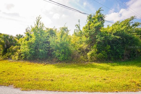 Land in Port Charlotte, Florida № 2161622 - photo 10