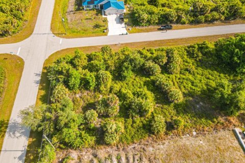 Land in Port Charlotte, Florida № 2161622 - photo 19