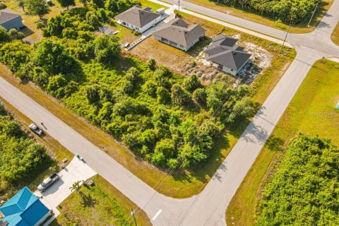 Land in Port Charlotte, Florida № 2161622 - photo 18