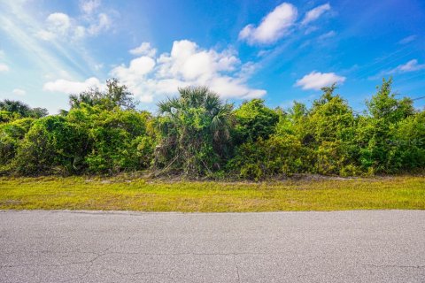 Land in Port Charlotte, Florida № 2161622 - photo 7