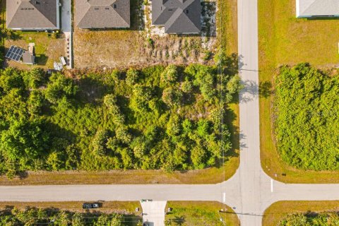 Land in Port Charlotte, Florida № 2161622 - photo 16
