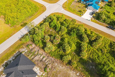 Land in Port Charlotte, Florida № 2161622 - photo 5