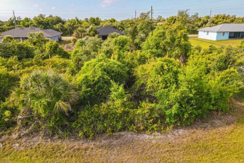 Land in Port Charlotte, Florida № 2161622 - photo 12