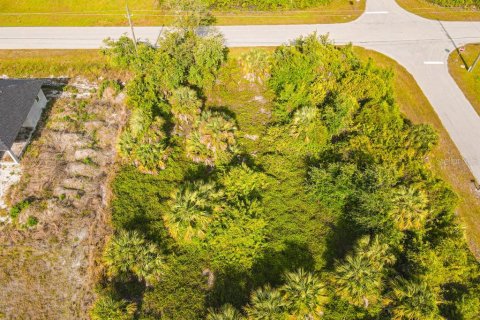 Land in Port Charlotte, Florida № 2161622 - photo 3