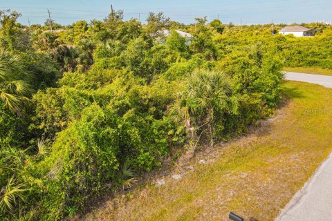 Land in Port Charlotte, Florida № 2161622 - photo 11