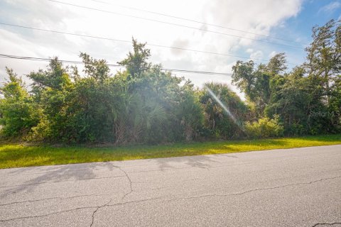 Land in Port Charlotte, Florida № 2161622 - photo 14