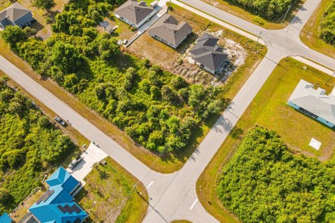Land in Port Charlotte, Florida № 2161622 - photo 17