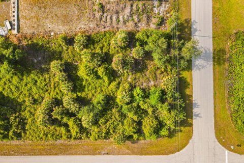 Land in Port Charlotte, Florida № 2161622 - photo 15