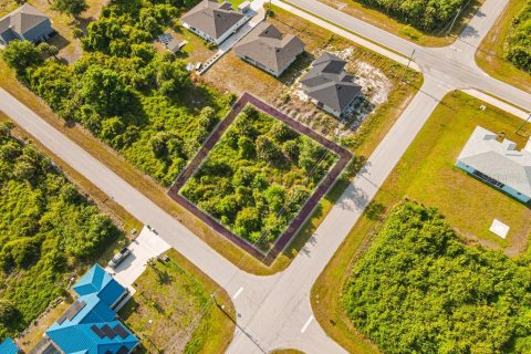 Land in Port Charlotte, Florida № 2161622
