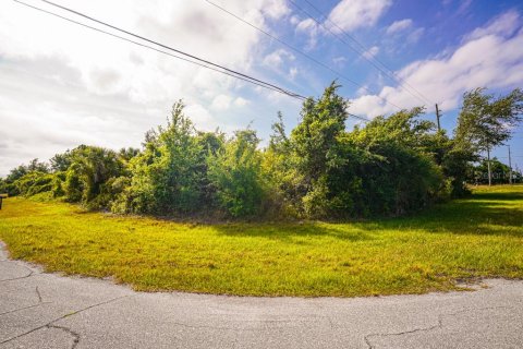 Land in Port Charlotte, Florida № 2161622 - photo 6