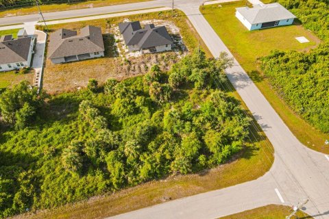 Land in Port Charlotte, Florida № 2161622 - photo 2