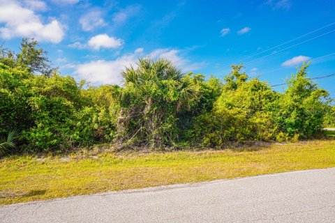 Land in Port Charlotte, Florida № 2161622 - photo 8